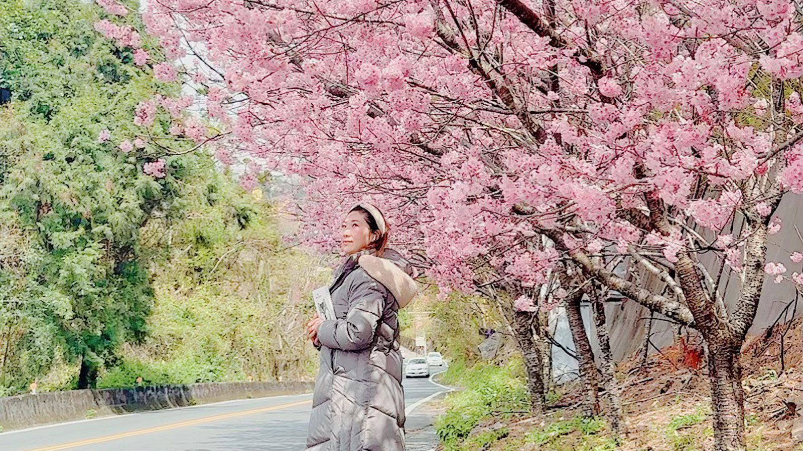 清境眷戀山城 | Cingjing B&B 圖片